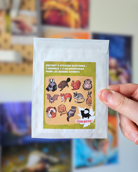 Mystery Bag Guéris-Bois