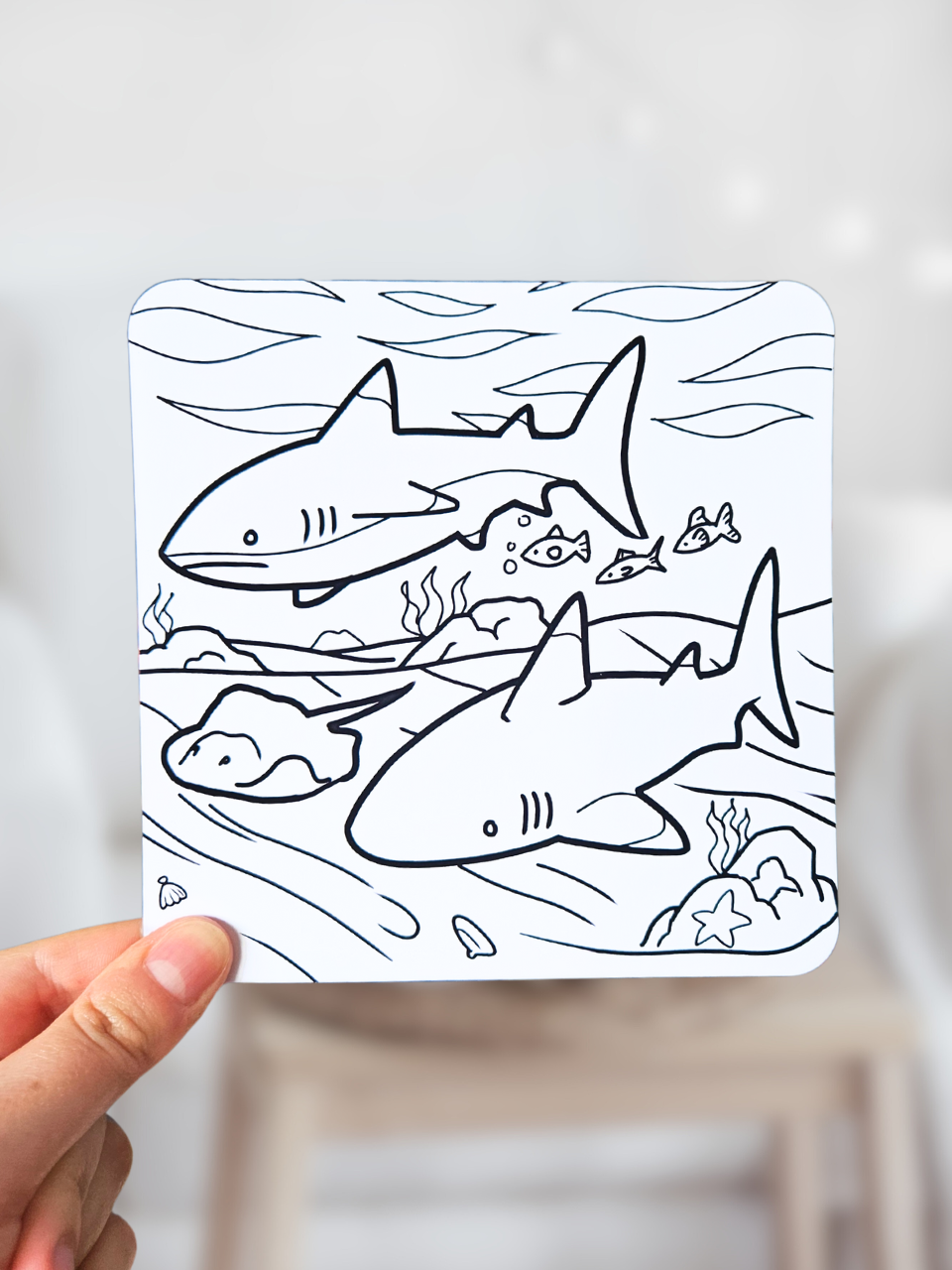 Lot de 3 coloriages Requins