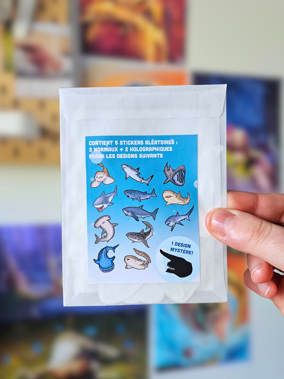 Mystery Bag Requins