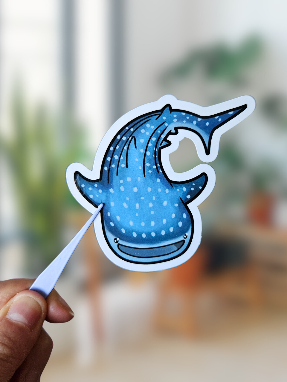 Mystery Bag Requins
