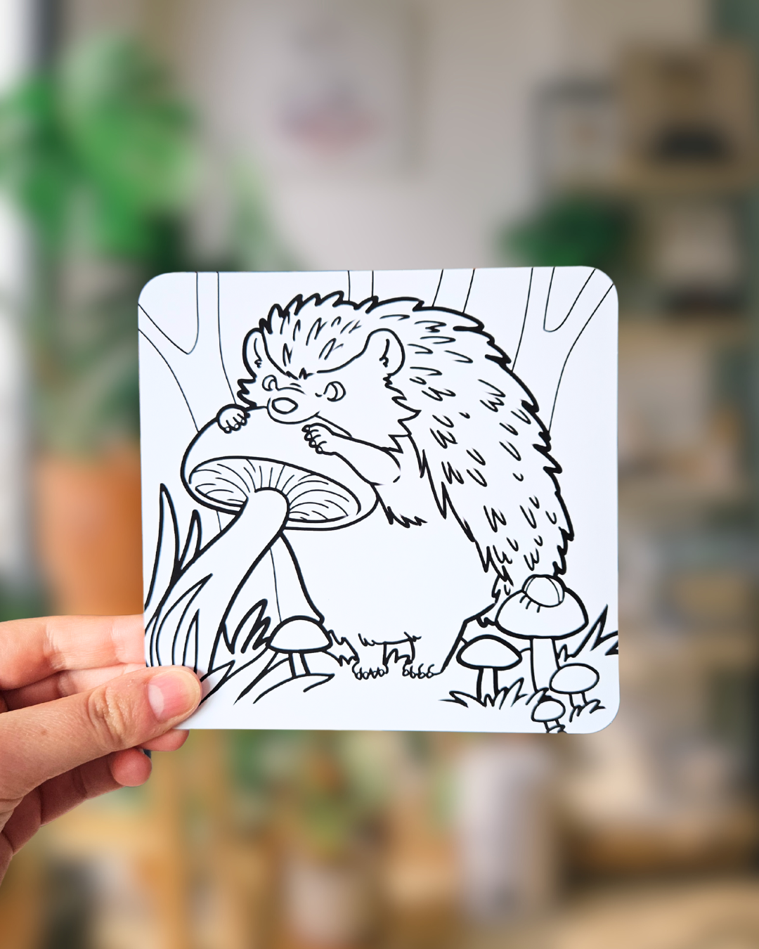 Lot de 3 coloriages Guéris-Bois