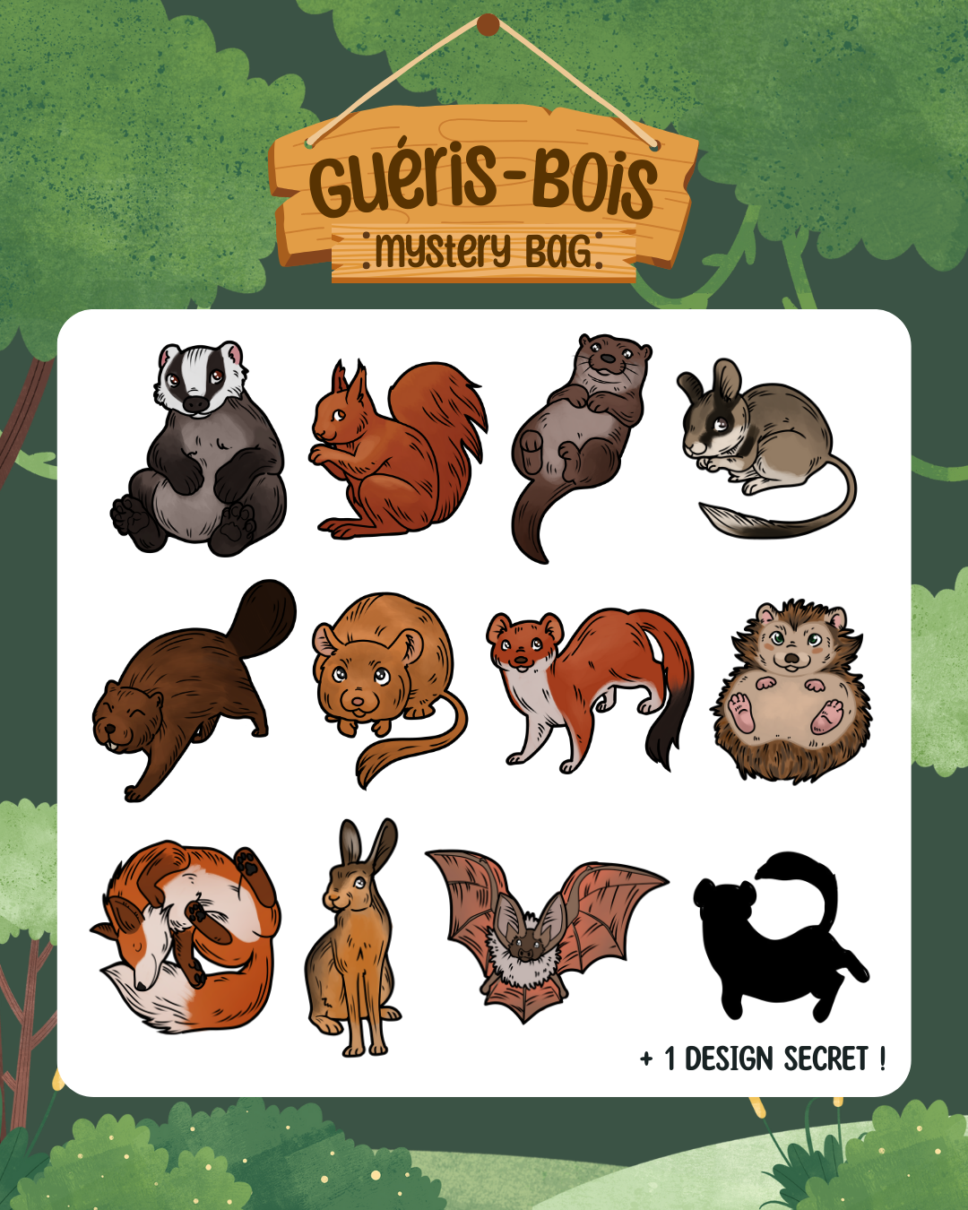 Mystery Bag Guéris-Bois