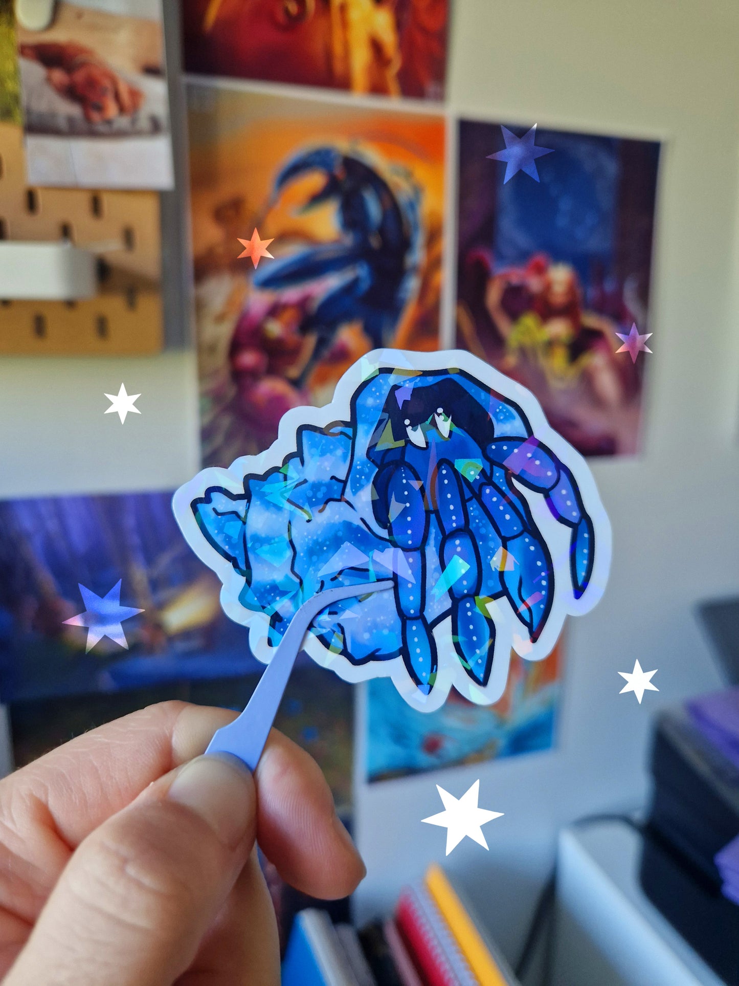 Calendrier de l'Avent Pattes-Ô-Chaud - Précommandes