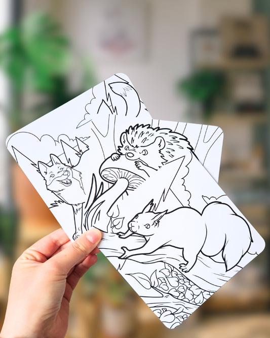 Lot de 3 coloriages Guéris-Bois