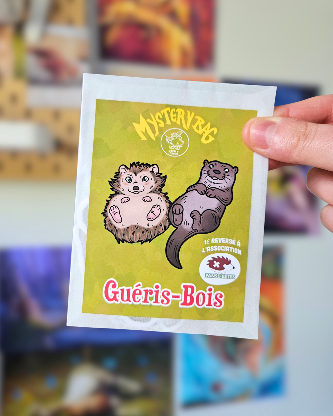 Mystery Bag Guéris-Bois