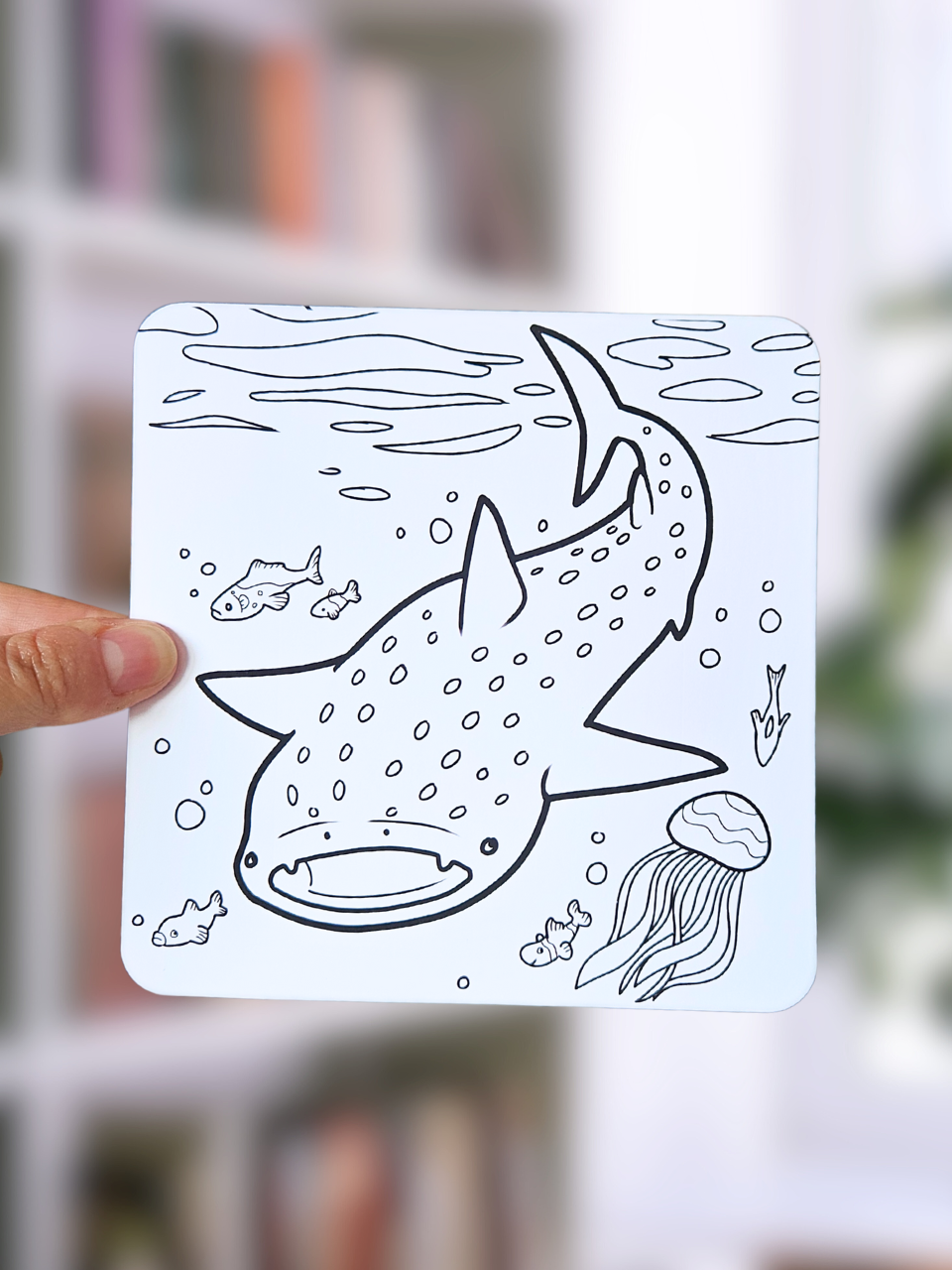 Lot de 3 coloriages Requins