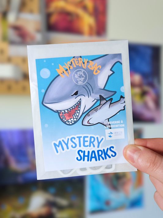 Mystery Bag Sharks