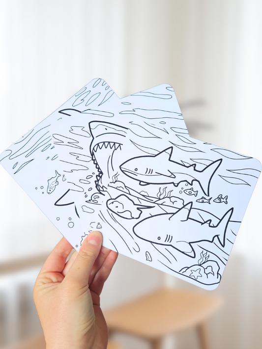 Lot de 3 coloriages Requins