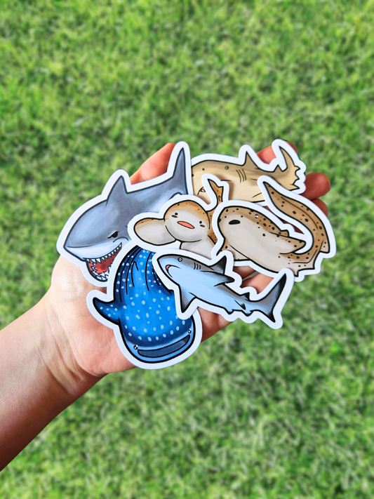 Mystery Bag Sharks