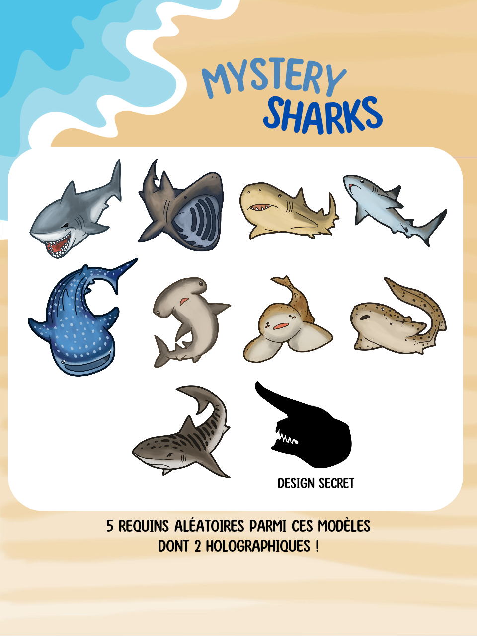 Mystery Bag Requins