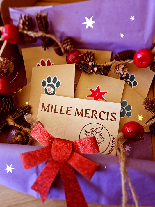 Calendrier de l'Avent Pattes-Ô-Chaud - Précommandes